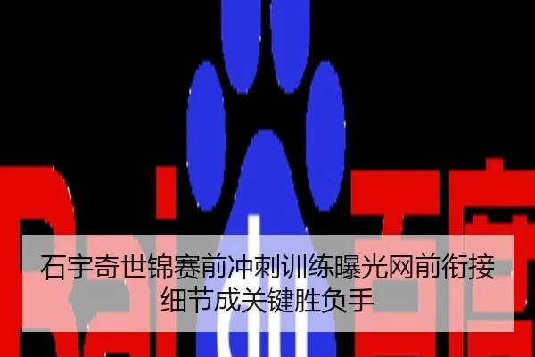 石宇奇世锦赛前冲刺训练曝光网前衔接细节成关键胜负手